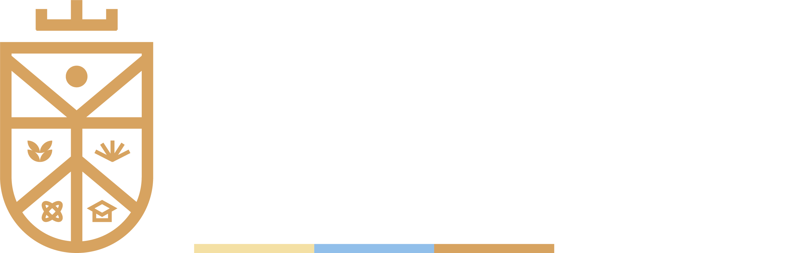 Da Vinci International Academy
